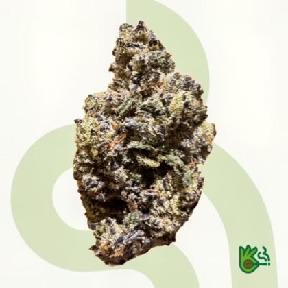 White Truffle