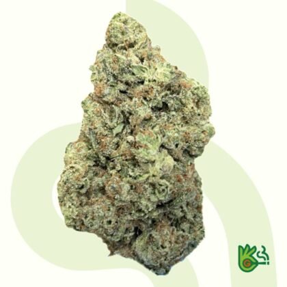 Exodus Cheese