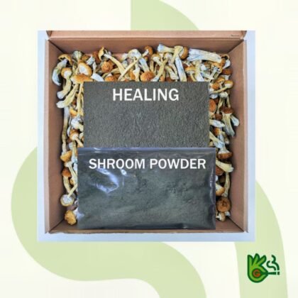 Shroom Powder 🔮