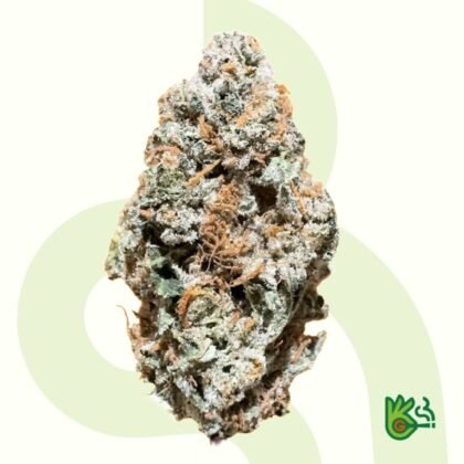 Alien Dawg