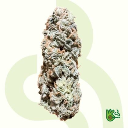 Arjans Strawberry Haze